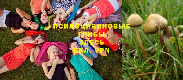 spice Беломорск