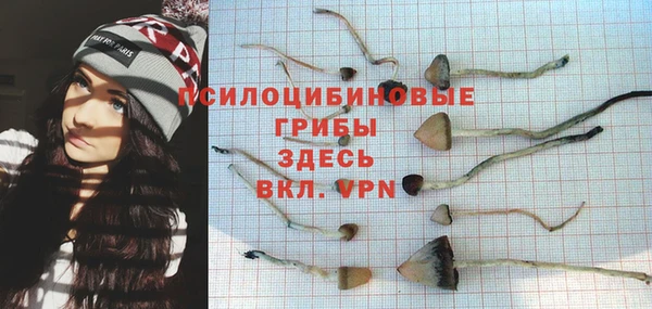 spice Беломорск