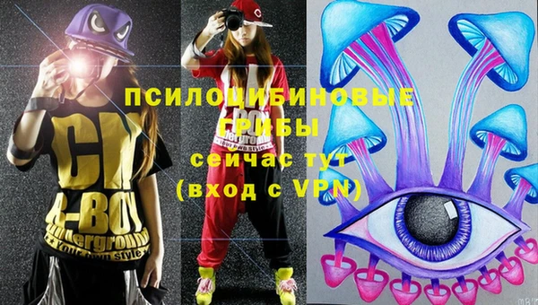 соль ск Белоозёрский