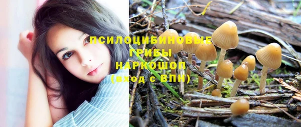 соль ск Белоозёрский